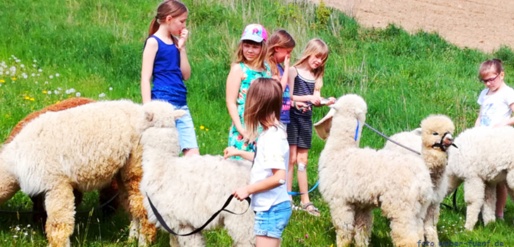 Alpakawanderungen im Rottal Urlaub in Niederbayern